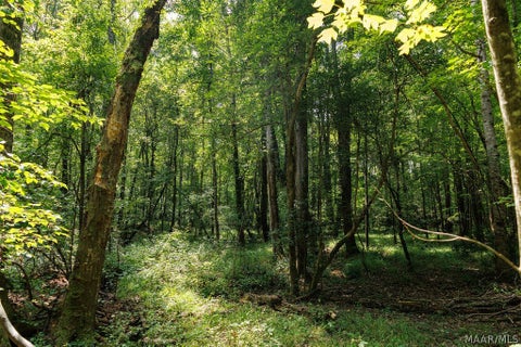 Photo of 0 Mt Hebron Road, Eclectic, AL 36024 (MLS # 591058)