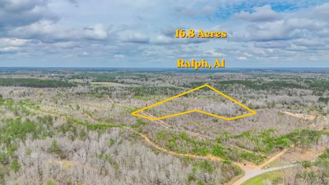 Photo of 0 Brownin Road, Ralph, AL 35480 (MLS # 584773)