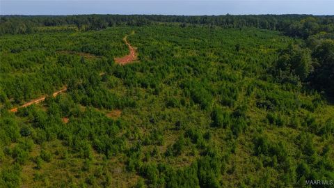 Photo of 0 Montezuma Road, Greenville, AL 36037 (MLS # 578090)