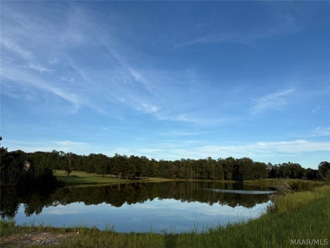 Photo of 4 Chesson Court, Fitzpatrick, AL 36029 (MLS # 590271)