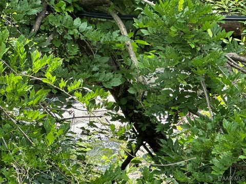 Photo of 436 Welona Creek Road, Titus, AL 35053 (MLS # 579236)