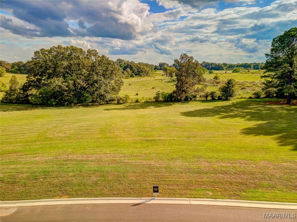 Photo 1 of 1 — Lot 9 Hidden Oaks Avenue, Pike Road, AL 36064