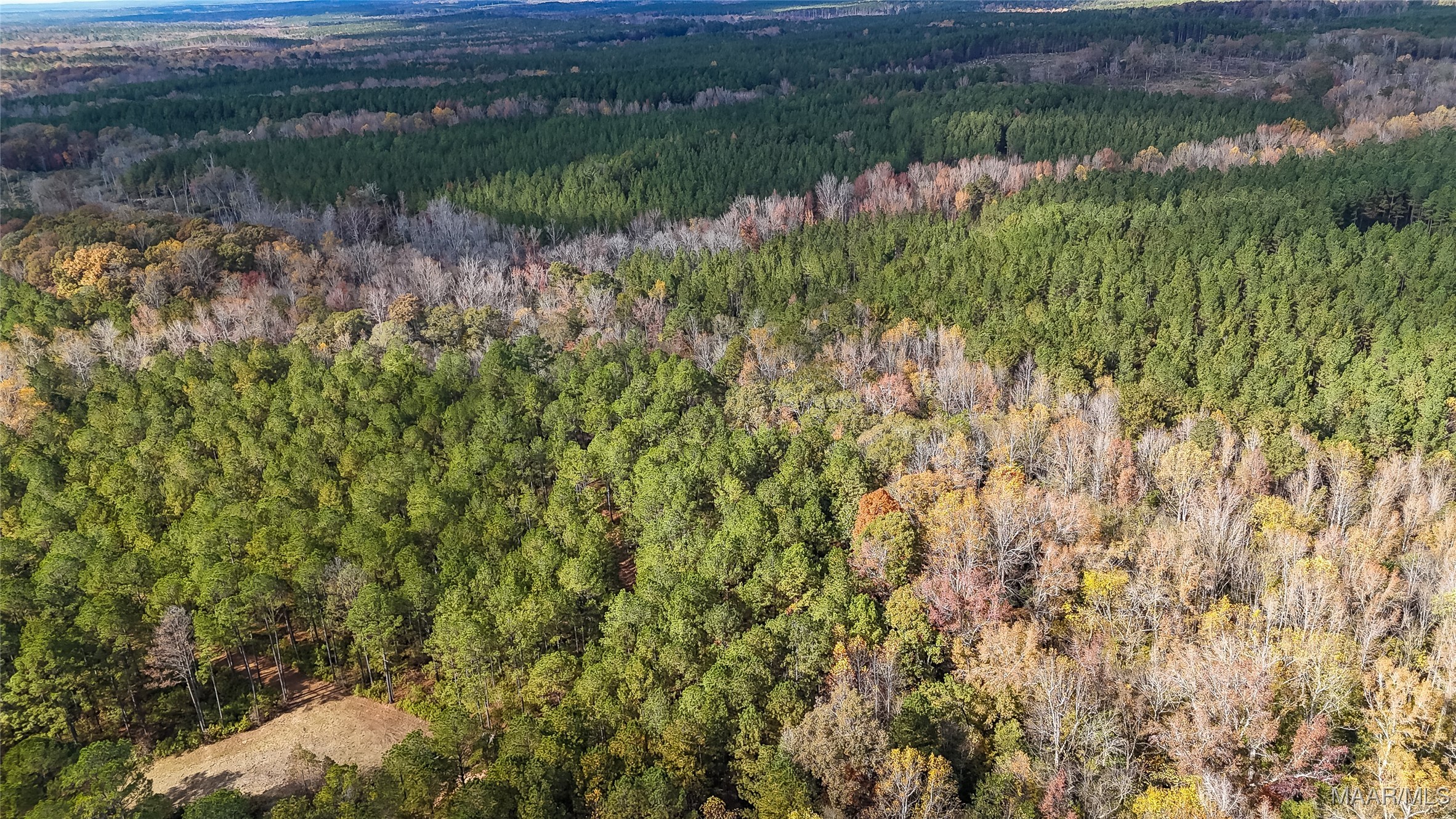 407 County Road 258 Road