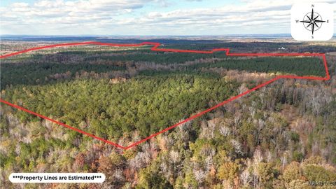 Photo of 407 County Road 258 Road, Five Points, AL 36862 (MLS # 581552)