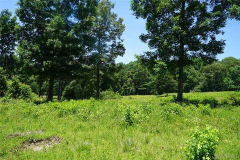 Photo of 150 Lindsey Road, Eclectic, AL 36024 (MLS # 588588)