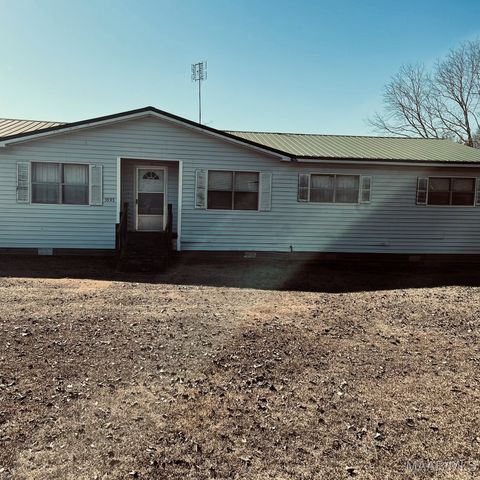 Photo of 5983 Highway 141, Elba, AL 36323 (MLS # 583161)