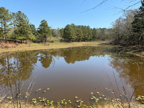 Photo of 3875 N Mt Zion Road, AL 36042 (MLS # 585031)