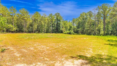 Photo of 0 Mockingbird Lane, Eclectic, AL 36024 (MLS # 588208)
