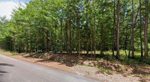 Photo of 0 Lee Road #175, Salem, AL 36874 (MLS # 580943)