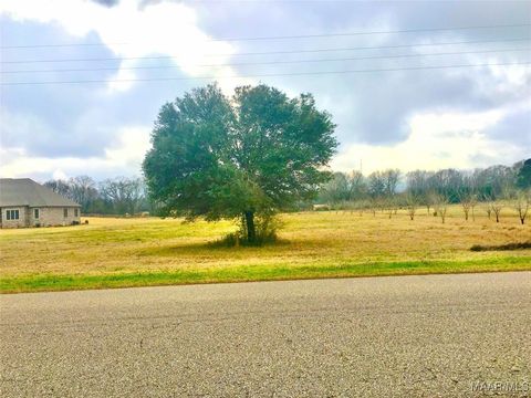 Photo of 1701 Moores Ferry Road, Selma, AL 36701 (MLS # 583226)