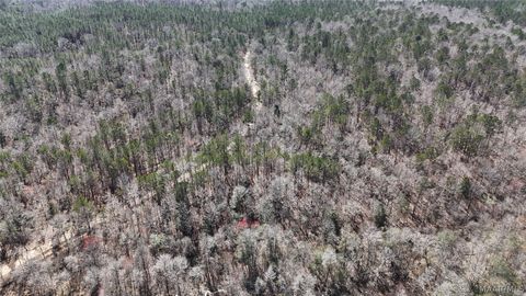 Photo of 00 Old Meriwether Trail, Panola, AL 36037 (MLS # 585039)