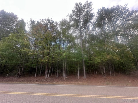 Photo of 1620 Grass Farm Road, Titus, AL 36080 (MLS # 590974)