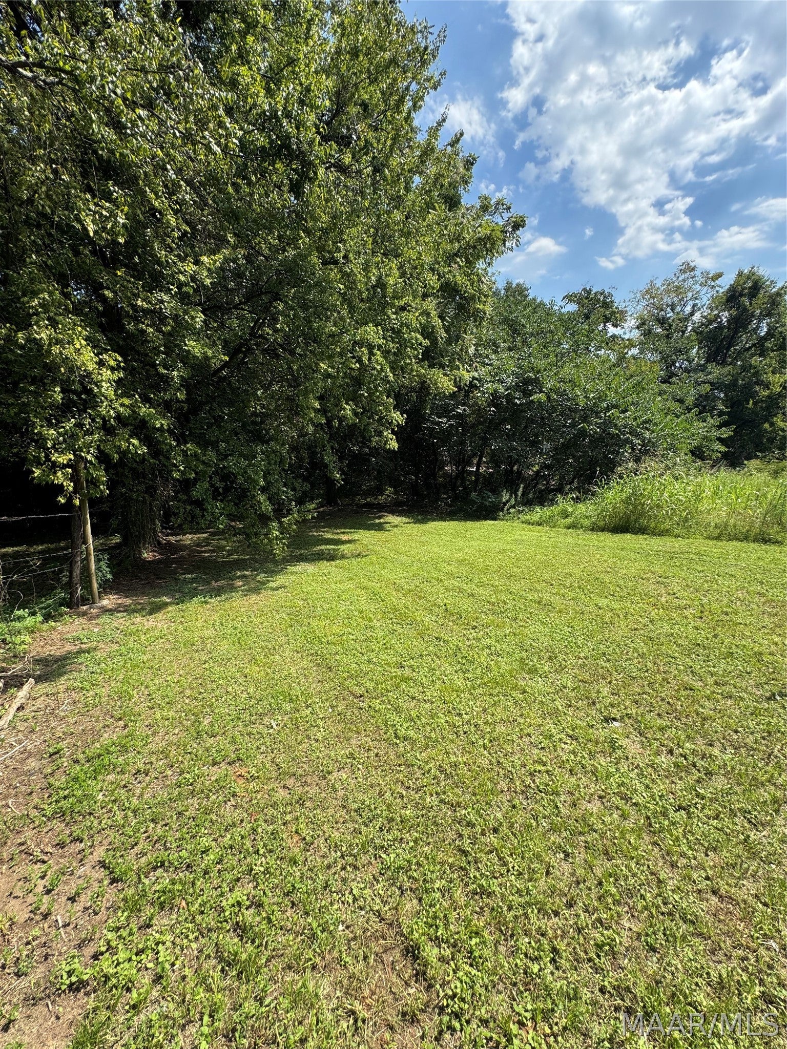 1309 Mobile Road - Photo 2