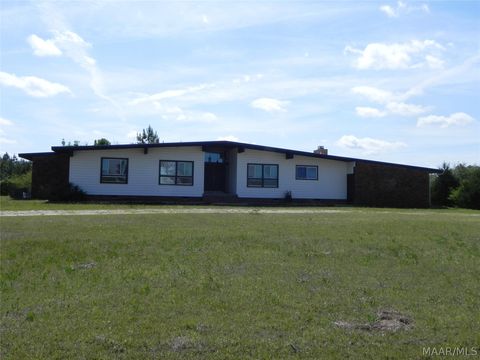 Photo of 2889 Claud Road, Eclectic, AL 36024 (MLS # 585102)