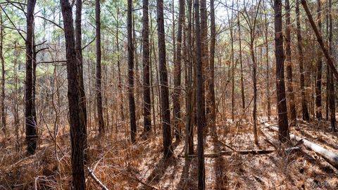 Photo of 185 Dam Road, Wilsonville, AL 35186 (MLS # 572298) Photo of 185 Dam Road, Wilsonville, AL 35186 (MLS # 572298)