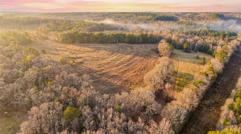 Photo of 1454 County Road 1128 Acres, Troy, AL 36079 (MLS # 583624)