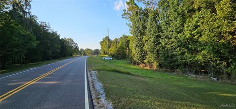 Photo of 10901 Old Pike Road, Mathews, AL 36052 (MLS # 579939)
