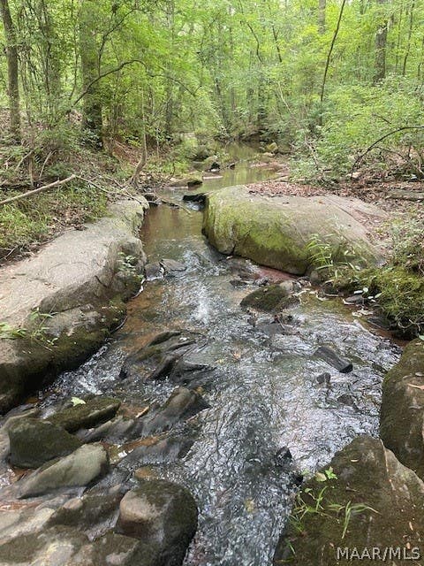 Photo of 2200 Booger Hollow Road, Dadeville, AL 36853 (MLS # 588399)