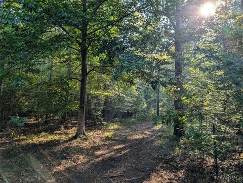 Photo of 11 GREYROCK Lane, Cecil, AL 36013 (MLS # 579692)