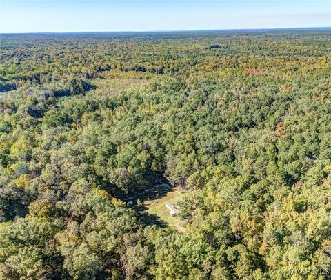 Photo of 777 Buddy Boy Road, Fort Davis, AL 36031 (MLS # 574157) Photo of 777 Buddy Boy Road, Fort Davis, AL 36031 (MLS # 574157)