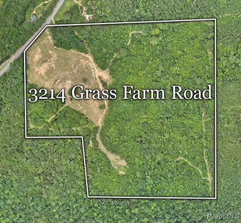Photo of 3124 Grass Farm Road, Equality, AL 36026 (MLS # 580684)