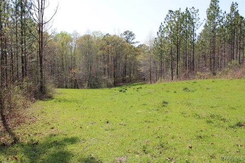 Photo of 0 Danny Holman Road, Rockford, AL 35136 (MLS # 574016) Photo of 0 Danny Holman Road, Rockford, AL 35136 (MLS # 574016)