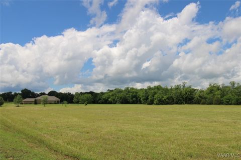 Photo of 38 S Farm View Lane, Pike Road, AL 36064 (MLS # 576250)