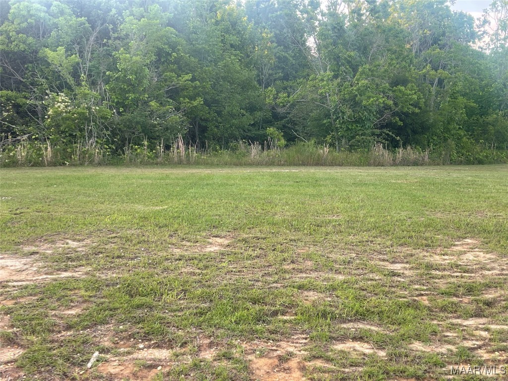 Photo 1 of 10 — 1305 Cherry Tree Lane, Prattville, AL 36066