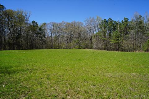 Photo of 831 Old Barnes Road, Mathews, AL 36065 (MLS # 582273)