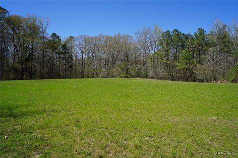 Photo of 831 Old Barnes Road, Mathews, AL 36065 (MLS # 582273)