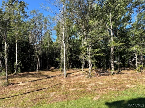 Photo of 28 Brookley Drive, Eclectic, AL 36024 (MLS # 590095)