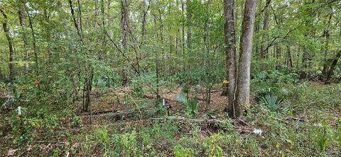 Photo of 0000 Snowdoun Chambers Road, Montgomery, AL 36105 (MLS # 580285)