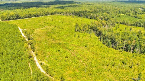 Photo of 0000 Halso Mill Road, Greenville, AL 36037 (MLS # 589980)