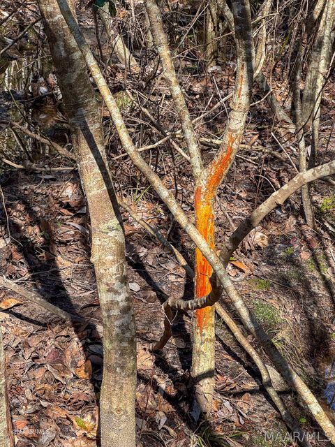 Photo of 0 County Road 56, Thomasville, AL 36784 (MLS # 583982)