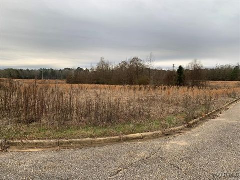 Photo of 201 Park Place, Selma, AL 36701 (MLS # 576267)