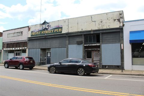 Photo of 217 Greenville Street, Greenville, AL 36037 (MLS # 588754)
