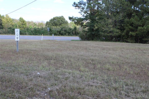 Photo of o Conecuh Street, Greenville, AL 36037 (MLS # 590869)