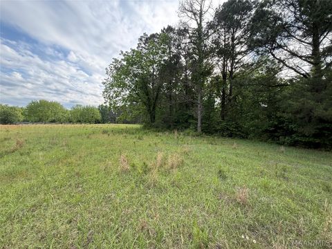 Photo of 3783 AL Highway 22 N, Valley Grande, AL 36701 (MLS # 586335)