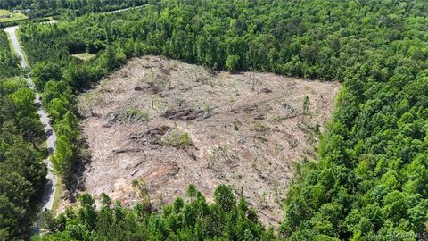 Photo of 387 County Road 79, Rockford, AL 35010 (MLS # 586915)