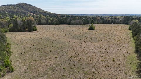 Photo of 162 County Road 34 Road, Fayetteville, AL 35044 (MLS # 585211)