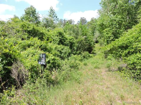 Photo of 0 Davenport Road, Greenville, AL 36037 (MLS # 586422)