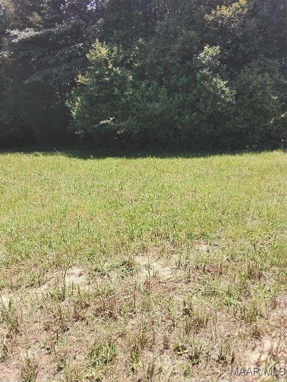 124 Crown Ridge Drive - Photo 2