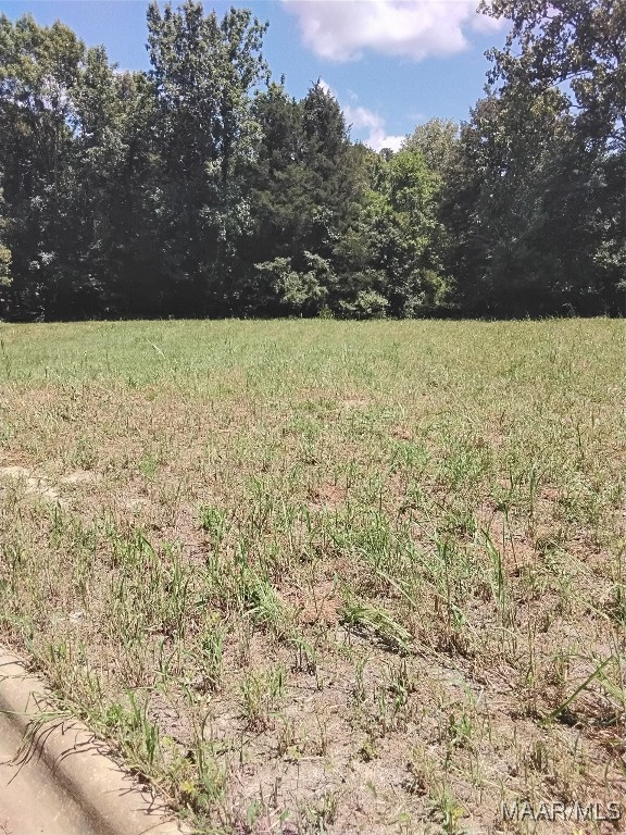 124 Crown Ridge Drive - Photo 3