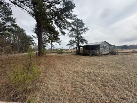 Photo of 0 Skipper Road, Eclectic, AL 36024 (MLS # 583611)