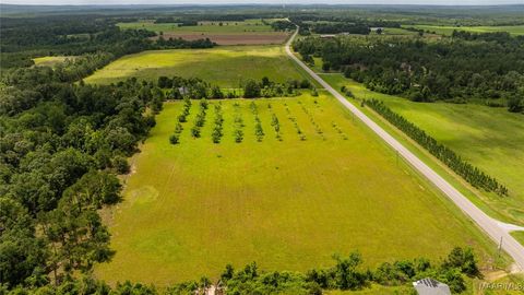 Photo of 10 County Road 57, Pine Level, AL 36022 (MLS # 580624)