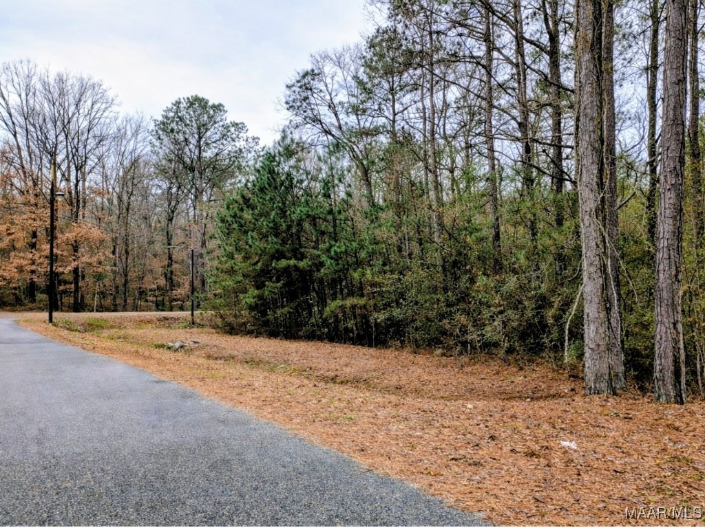 Photo 1 of 6 — Lot 0 Noble Road, Tallassee, AL 36078