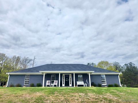 Photo of 4030 Pineapple Highway, Greenville, AL 36037 (MLS # 584623)