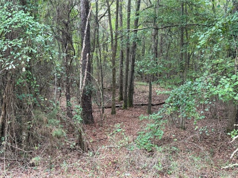 Photo of 00 County Rd 44 Road, Autaugaville, AL 36003 (MLS # 590681)