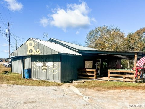 Photo of 285 N Garland Road, McKenzie, AL 36456 (MLS # 566941)