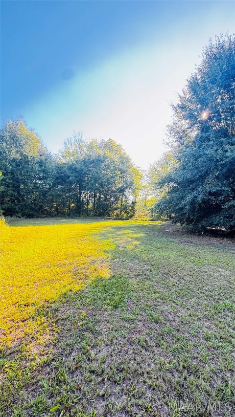Photo of 3820 County Road 225 Road, Minter, AL 36761 (MLS # 591231)